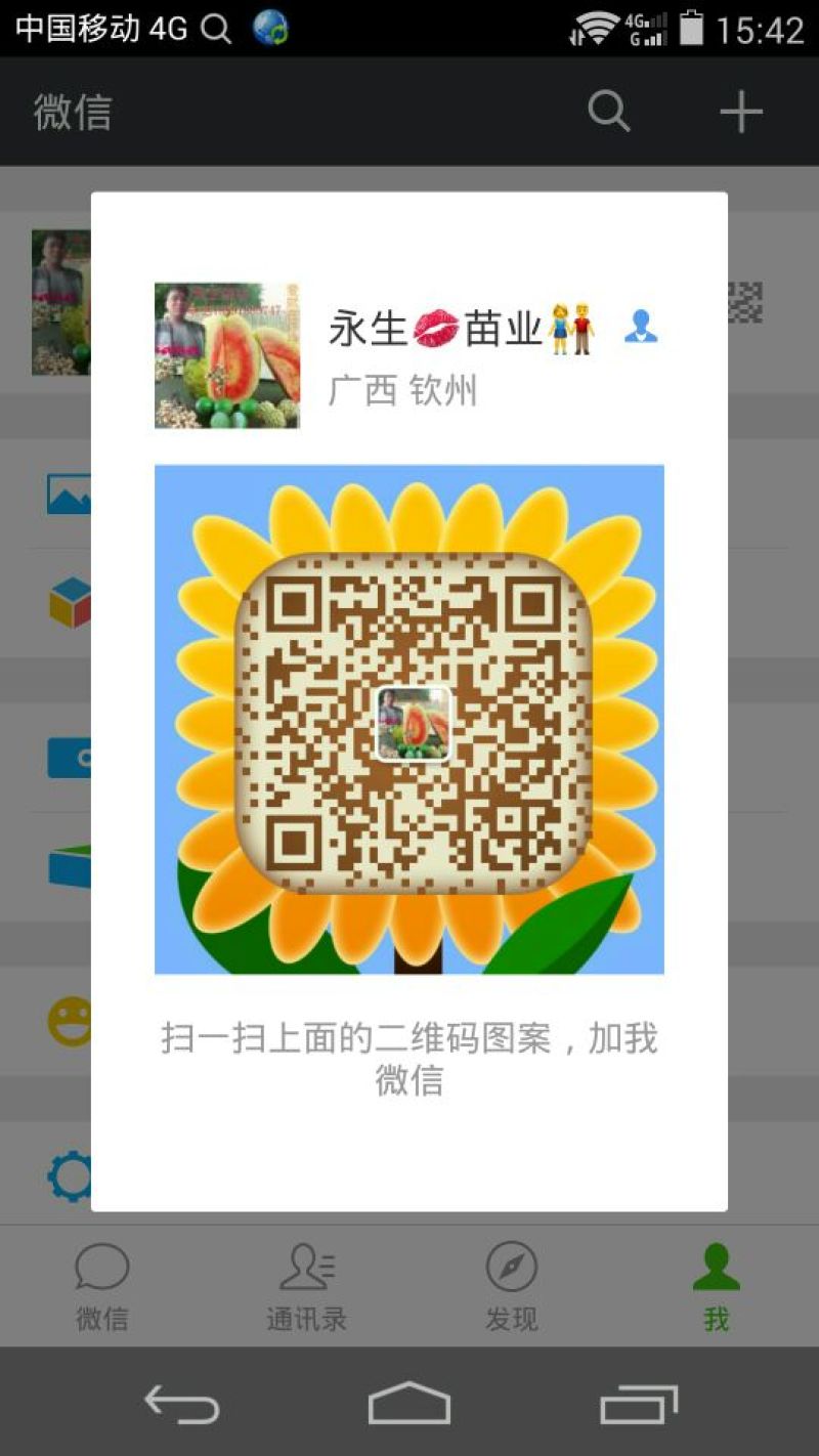 芒果苗1m以下