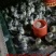 灰鹅苗250g以下