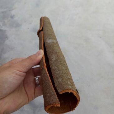 桂皮包装中通