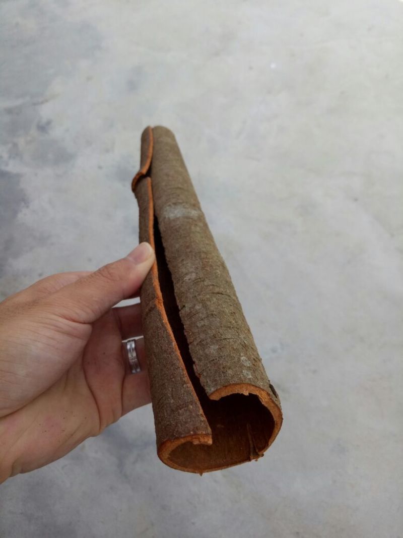 桂皮包装中通