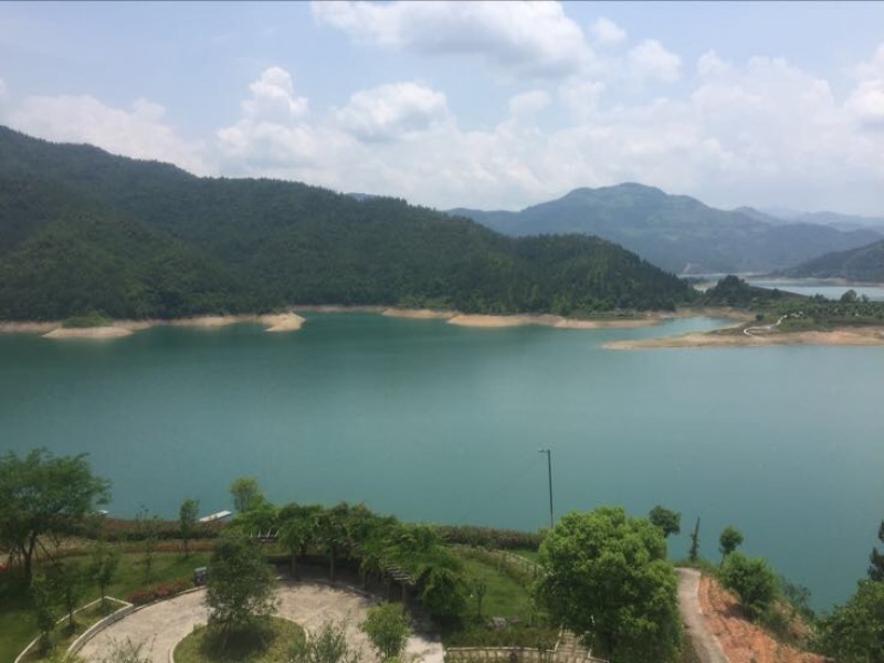 东魁杨梅