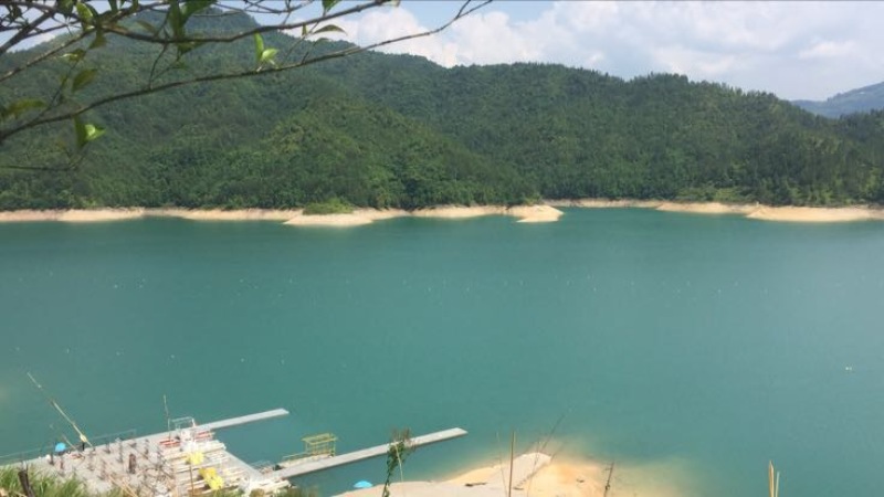 东魁杨梅