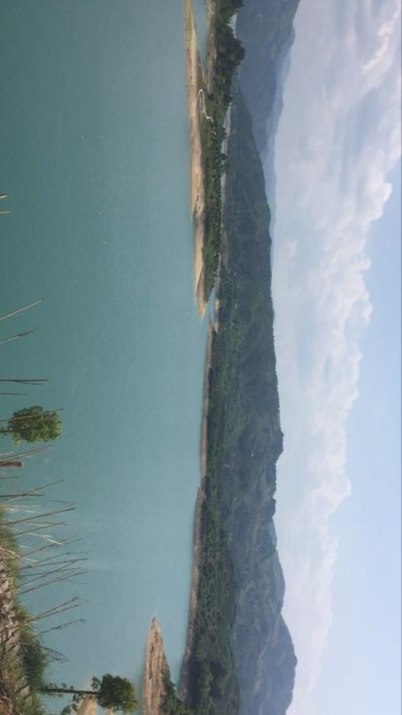 东魁杨梅