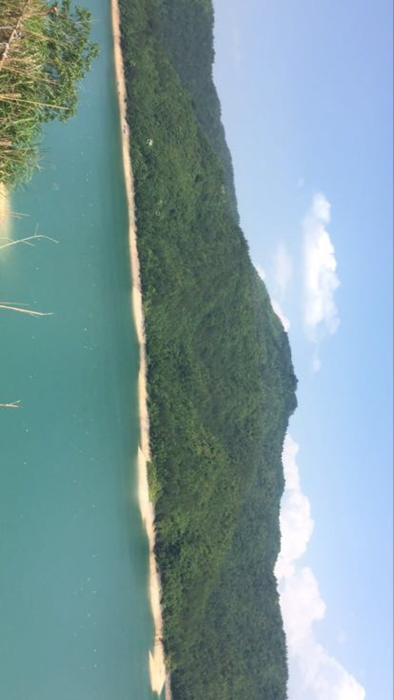 东魁杨梅