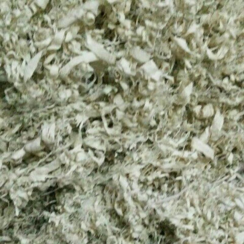 竹茹