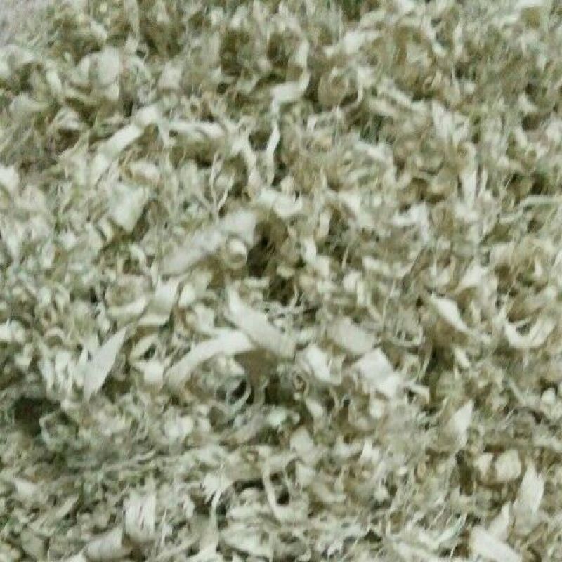 竹茹