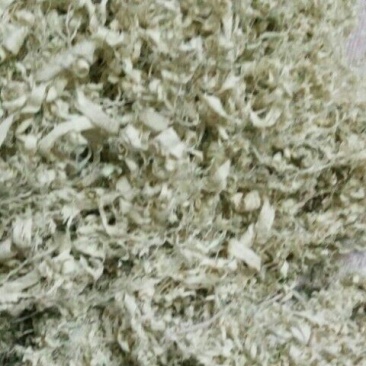竹茹
