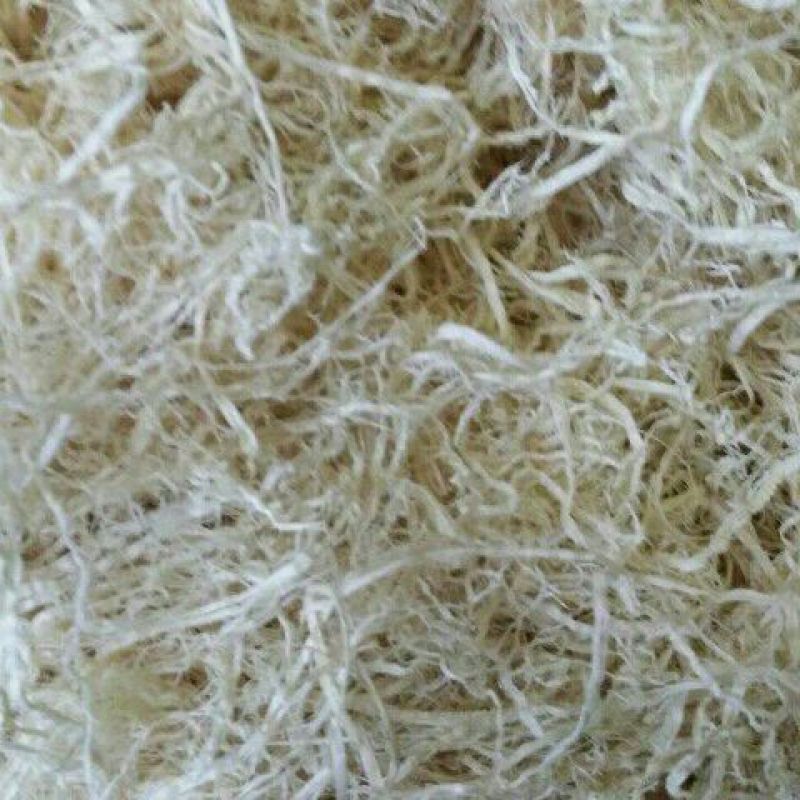 竹茹