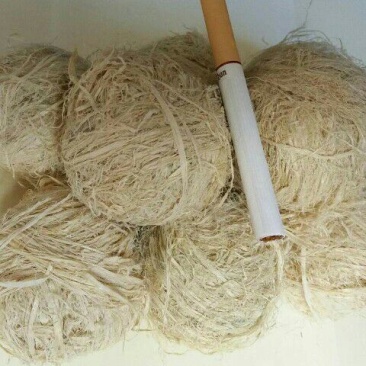 竹茹