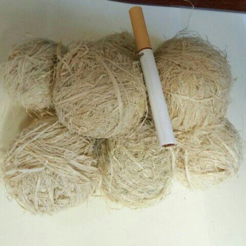 竹茹