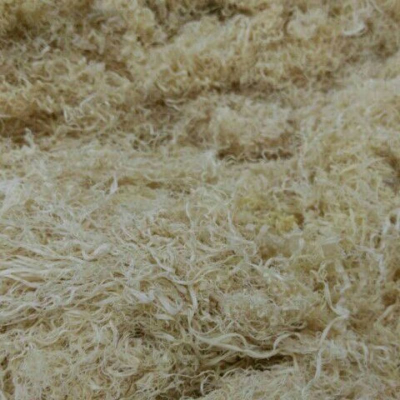 竹茹