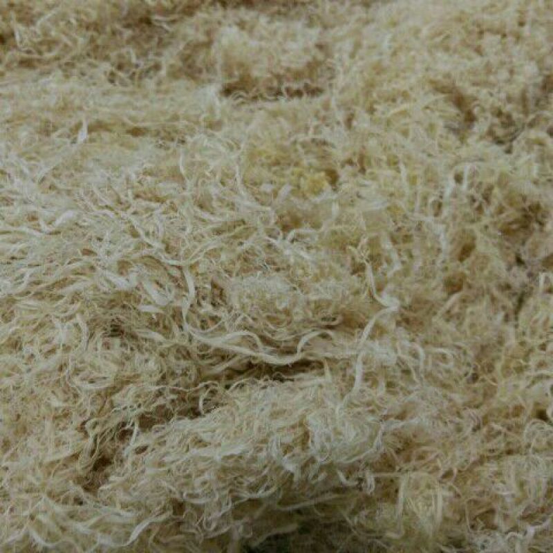 竹茹