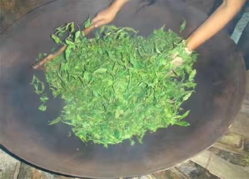 普洱茶
