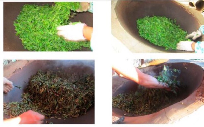 普洱茶