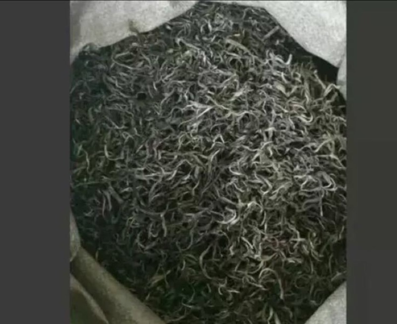 普洱茶