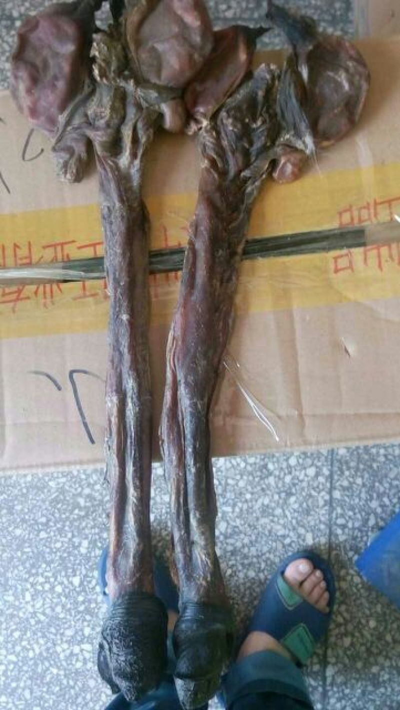 地道驴鞭干货无硫***药食同源2支起包邮