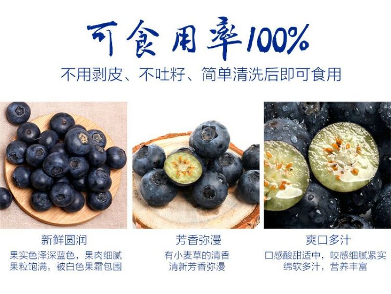 兔眼蓝莓鲜果12~14mm以上