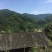 土鸡蛋