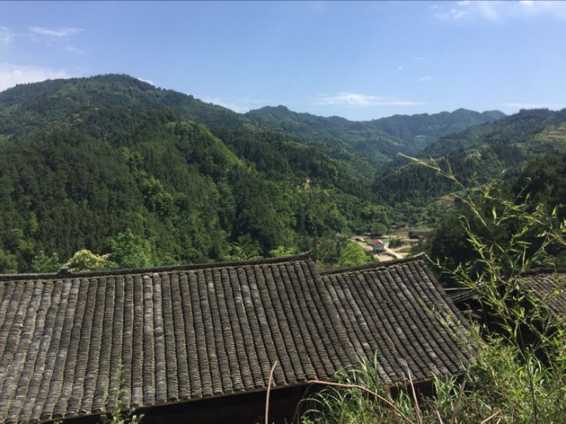土鸡蛋