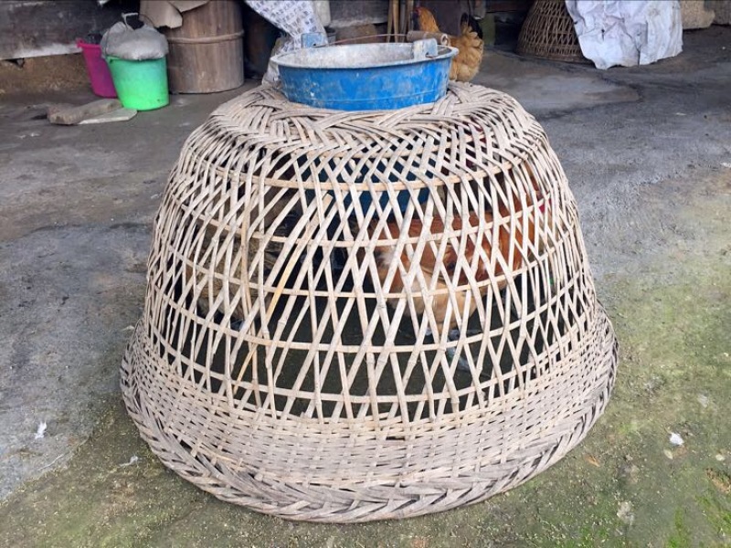 土鸡蛋