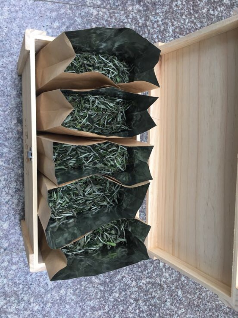 福鼎白茶