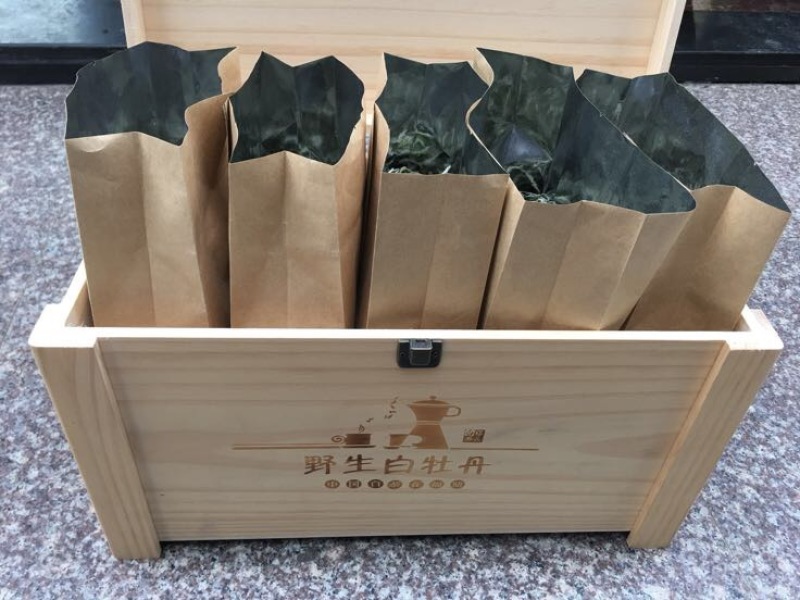 福鼎白茶