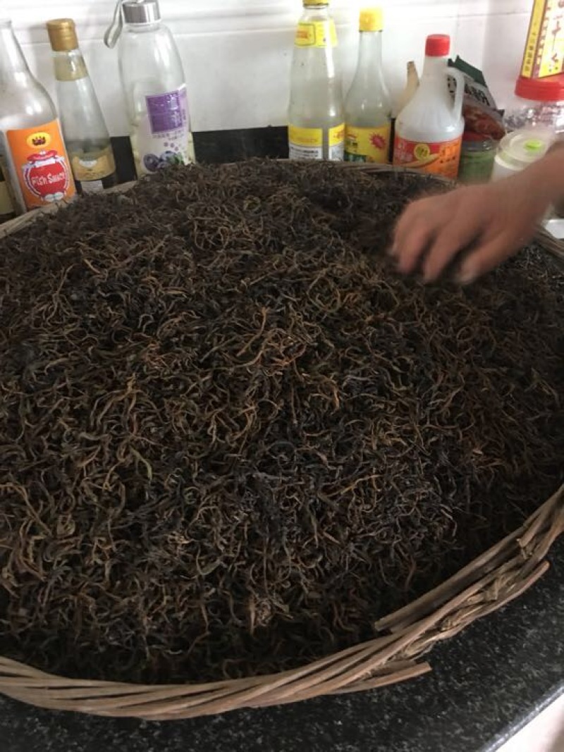福鼎白茶