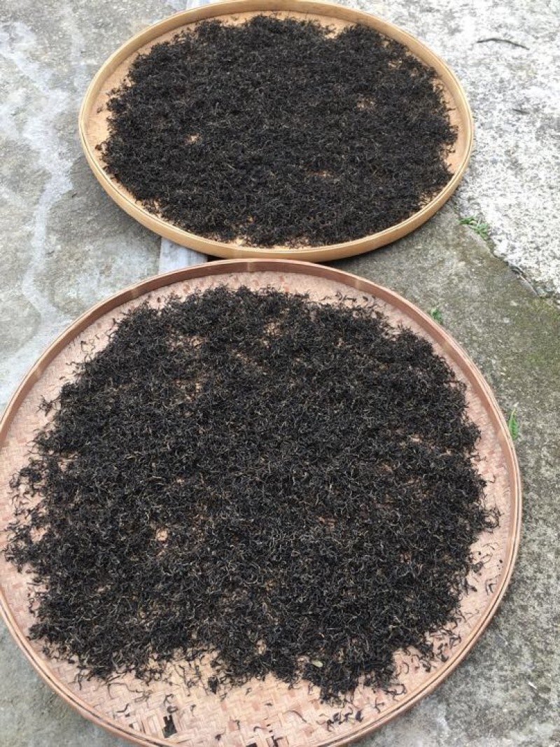 福鼎白茶