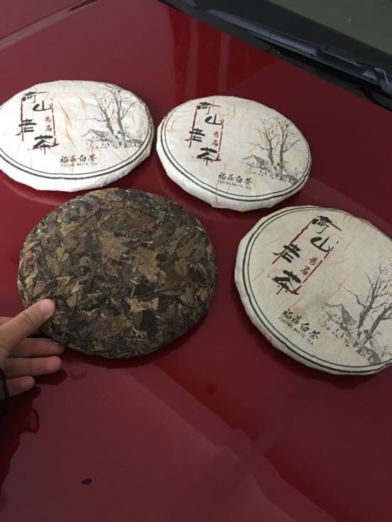 福鼎白茶