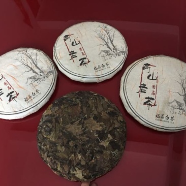 福鼎白茶