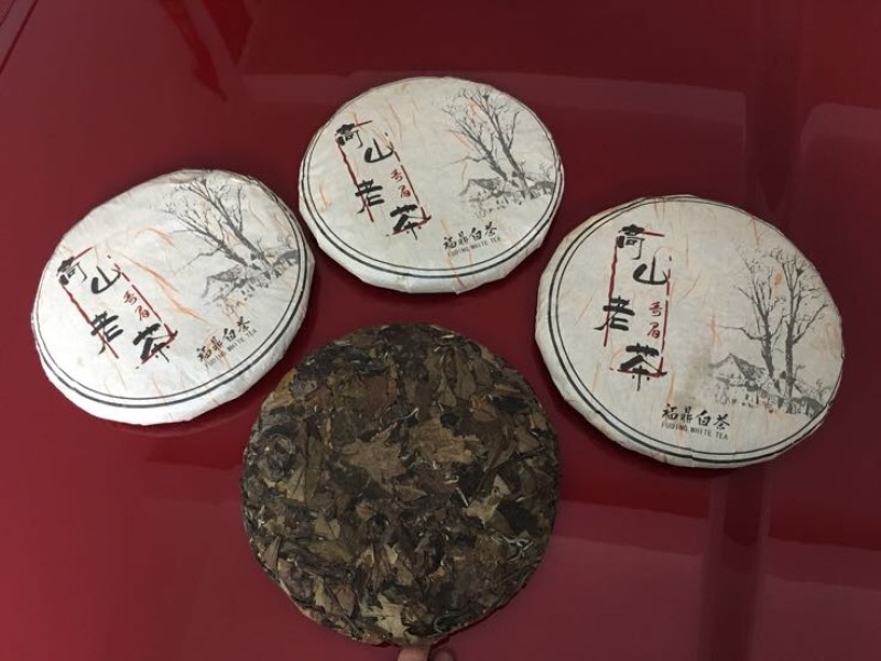 福鼎白茶