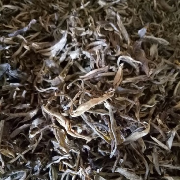 普洱茶特级
