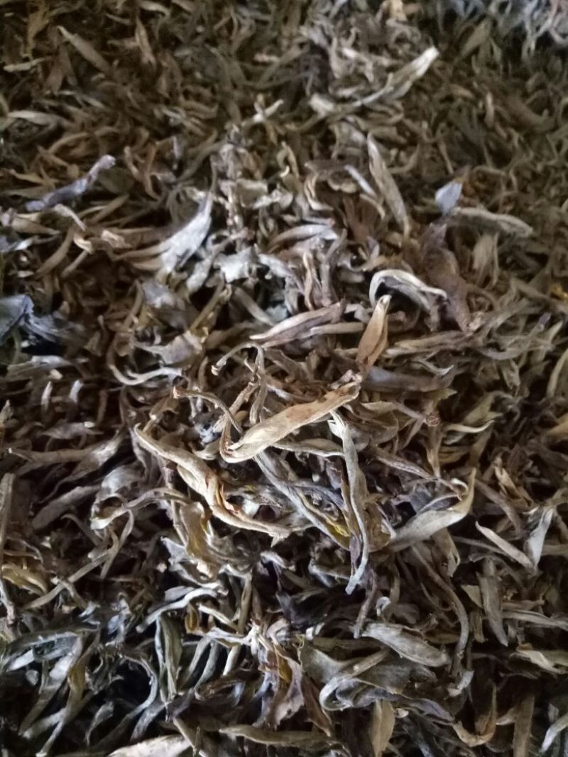 普洱茶特级