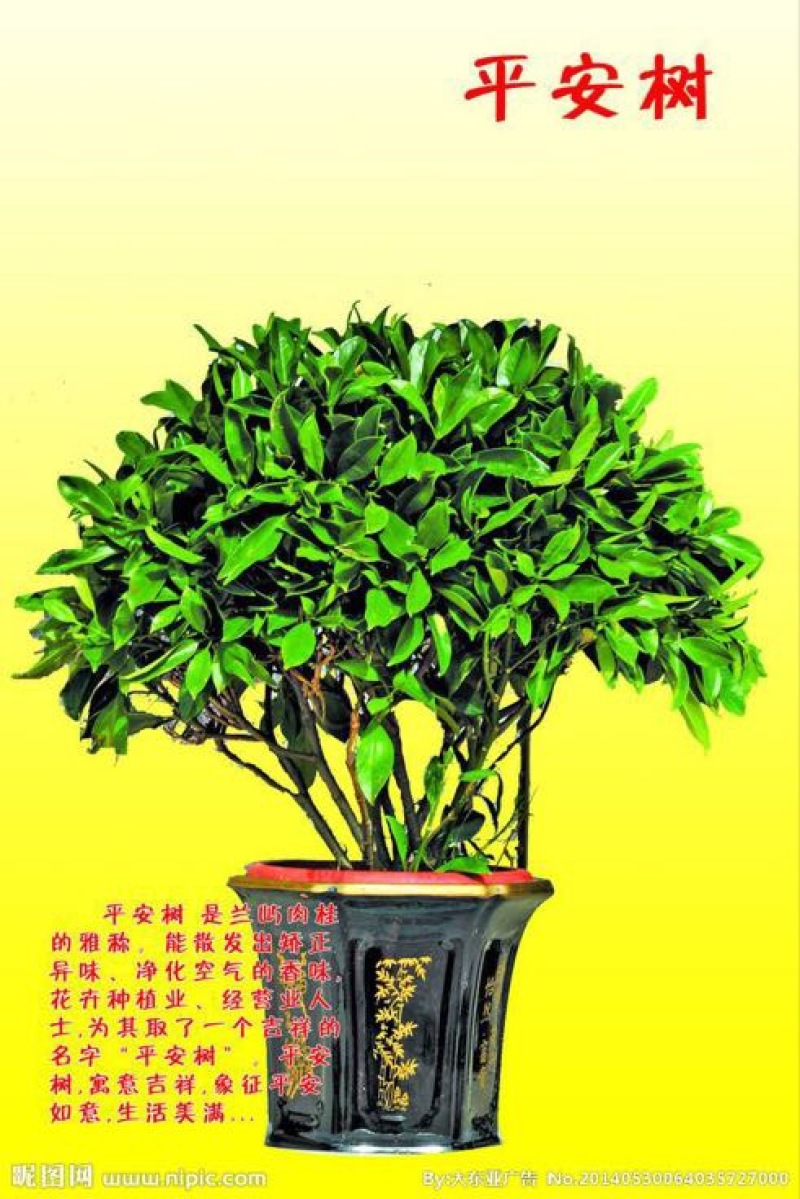 平安树