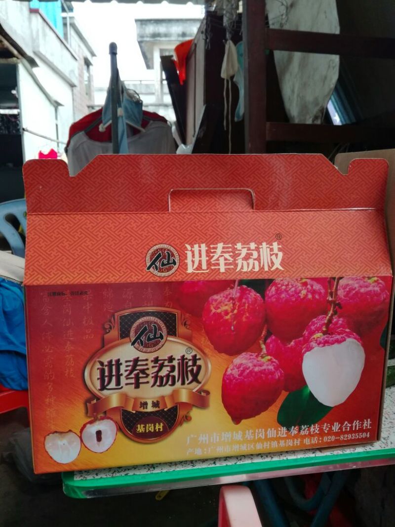 增城仙进奉荔枝鲜果