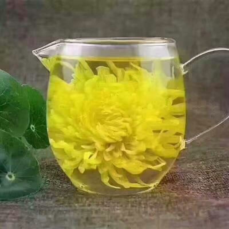 皇菊茶特级