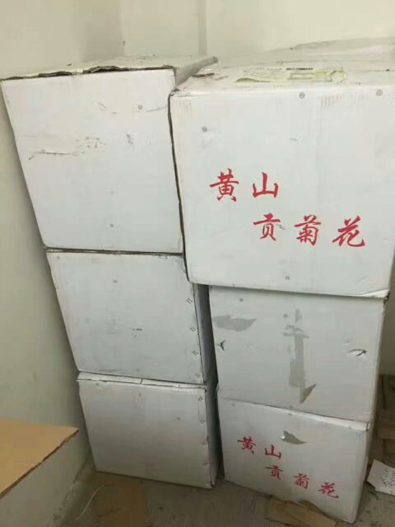 皇菊茶特级