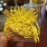 皇菊茶特级