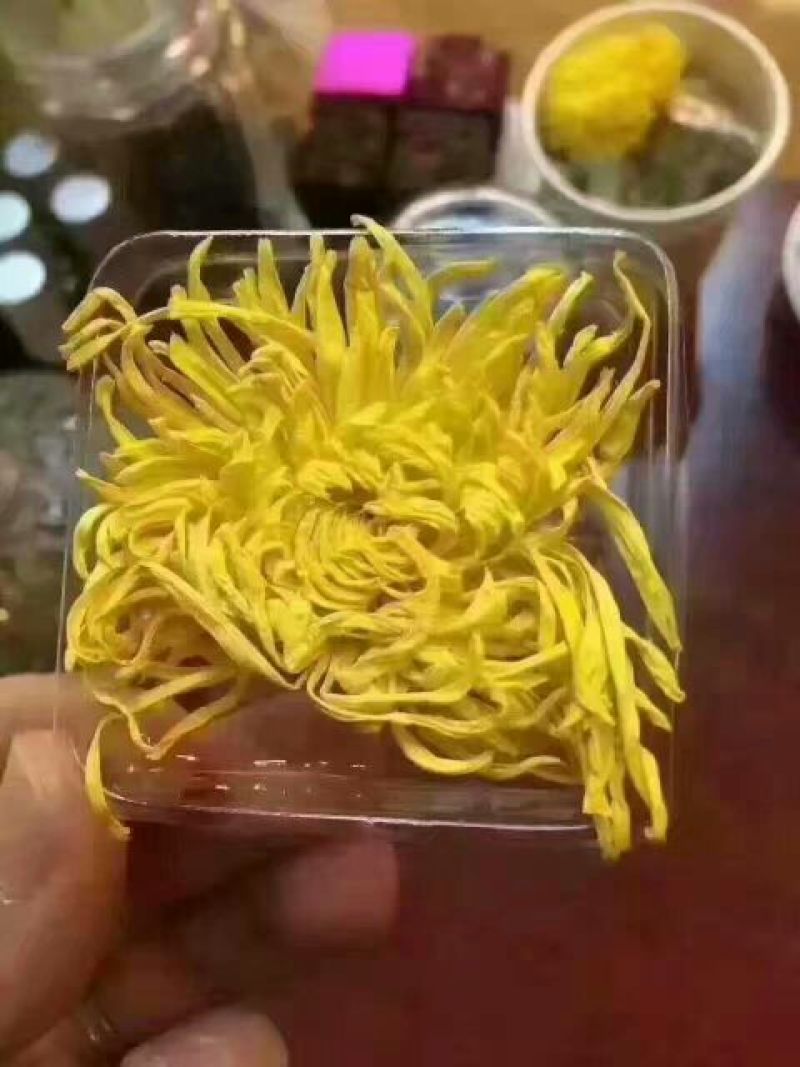 皇菊茶特级