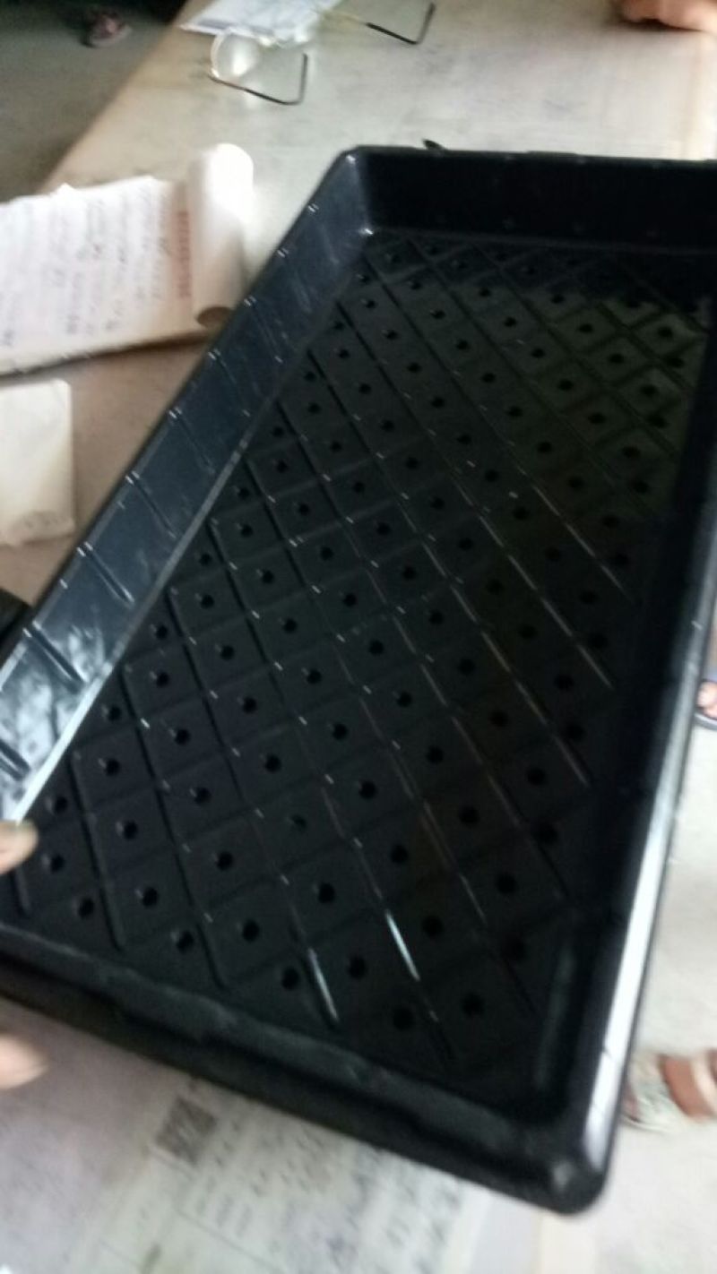 穴盘128孔