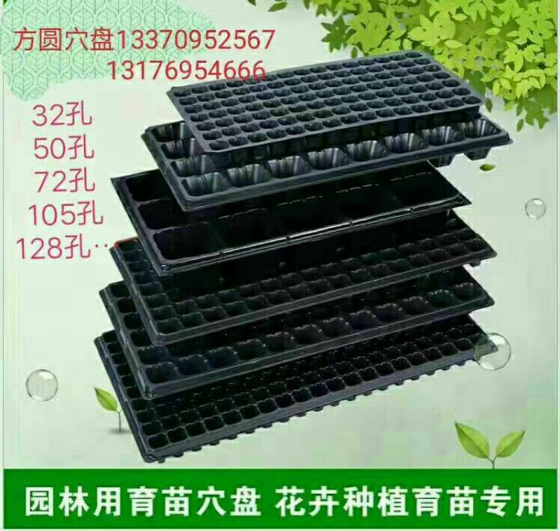 穴盘128孔
