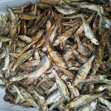 火焙鱼稻谷香味