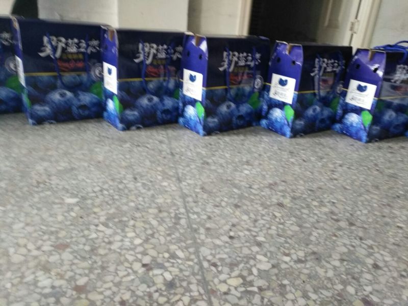 南高丛蓝莓鲜果12~14mm以上