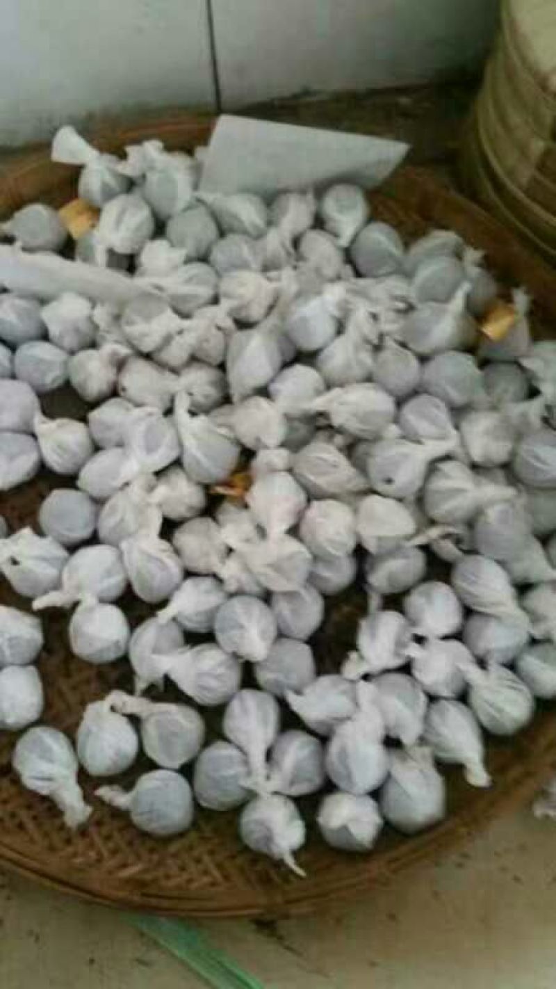 普洱茶一级