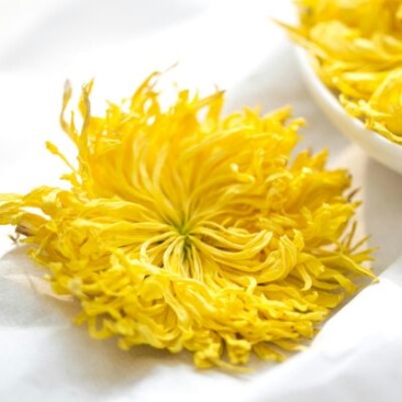 野菊花统货