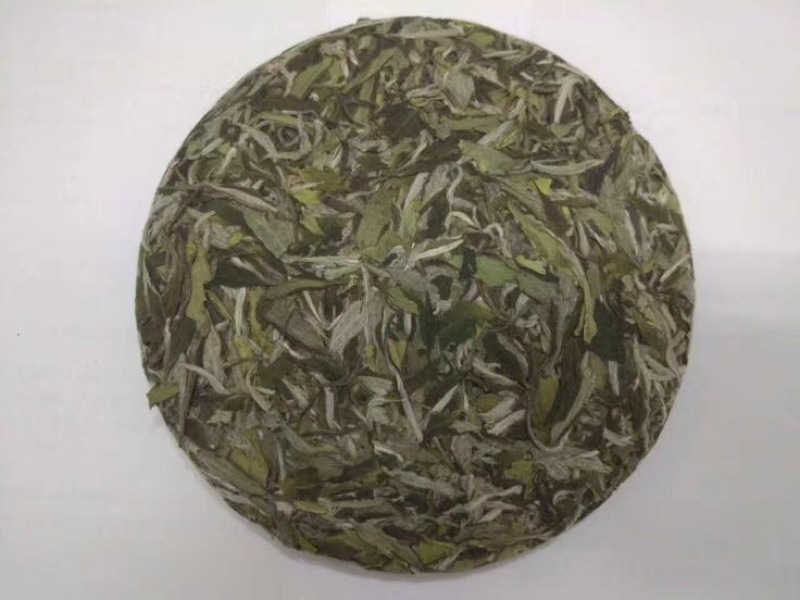 福鼎白茶