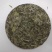 福鼎白茶