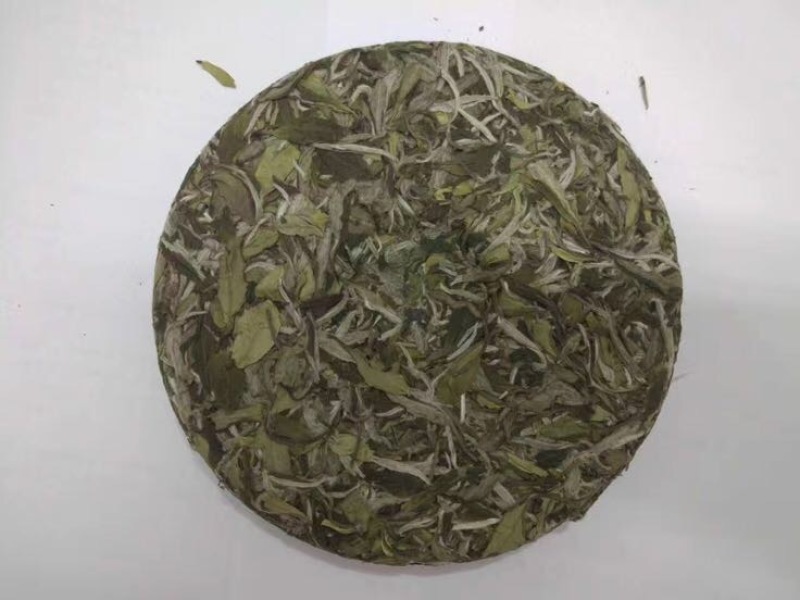 福鼎白茶