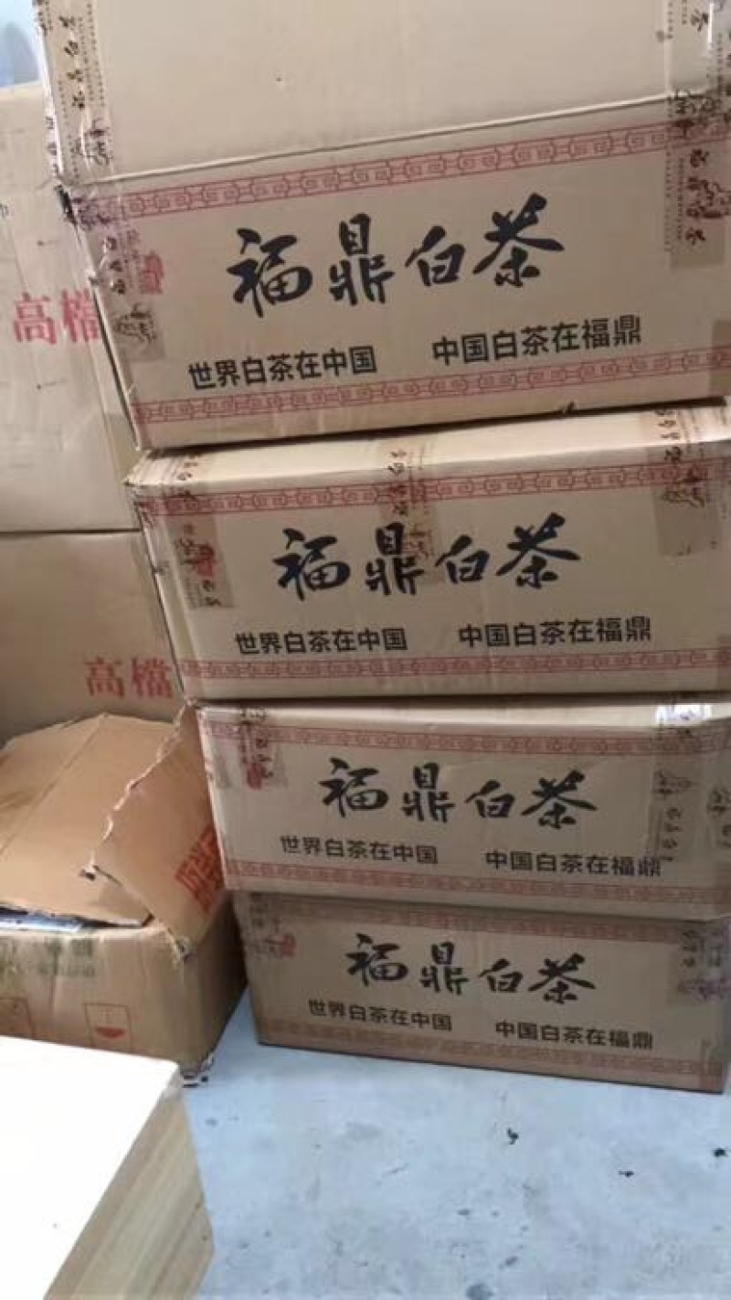 福鼎白茶