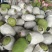 菠萝蜜5~10公斤